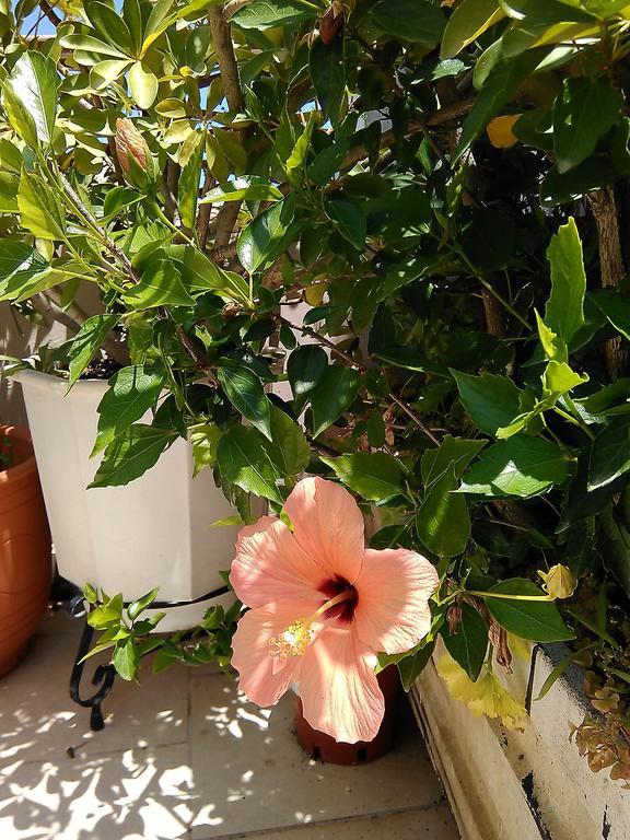 הוילה חאניה Nikita Traditional House חדר תמונה